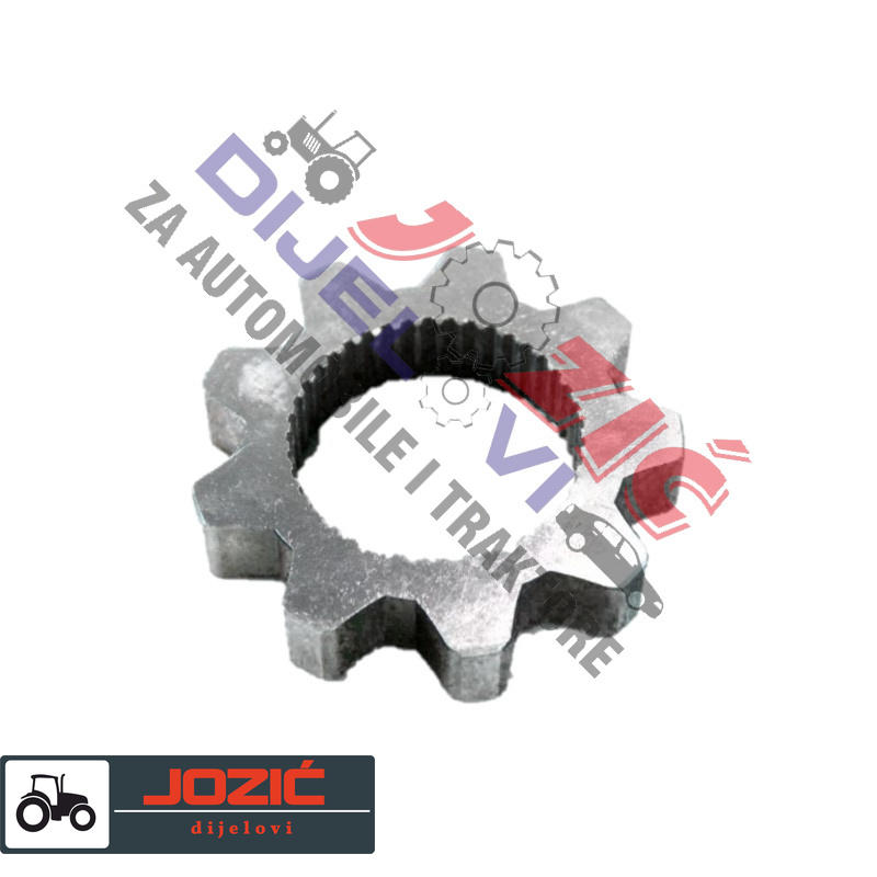 Daisy on the Ohoopee